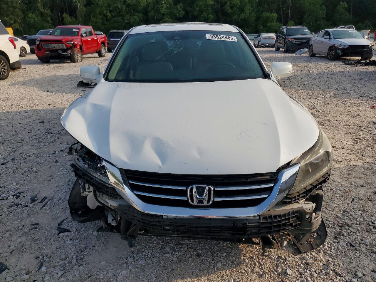2014 Honda Accord Exl White vin: 1HGCR3F83EA017864