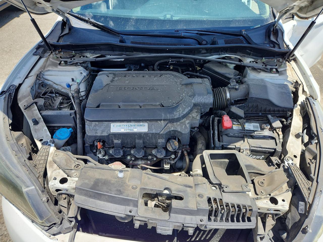 2014 Honda Accord Exl White vin: 1HGCR3F83EA036687