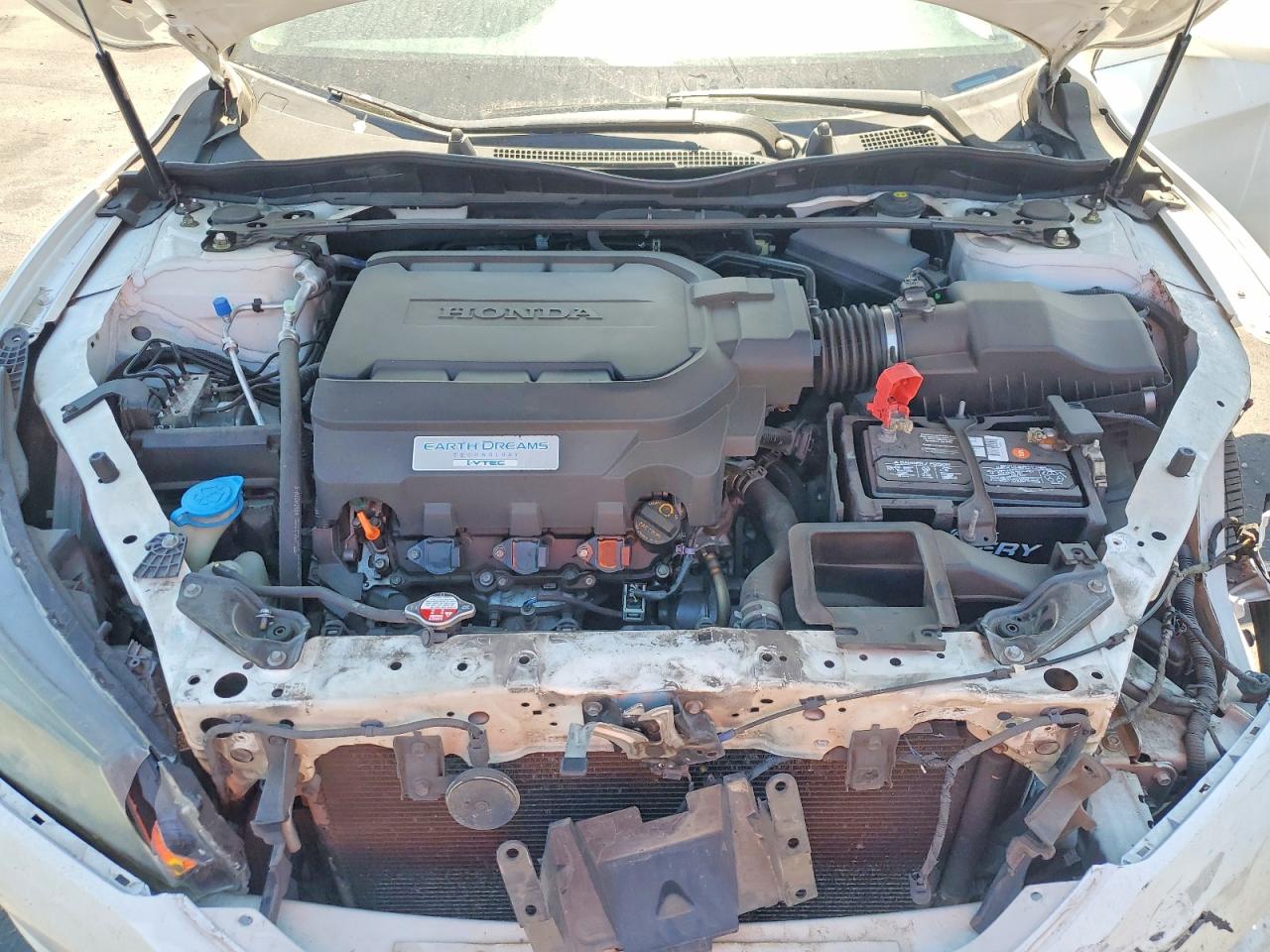 2013 Honda Accord Exl Белый vin: 1HGCR3F84DA010758