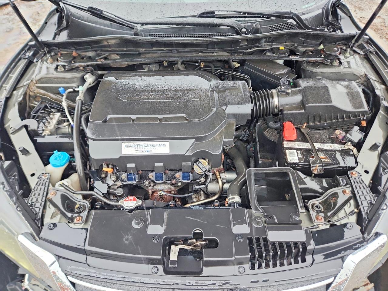 2013 Honda Accord Exl Green vin: 1HGCR3F84DA026166