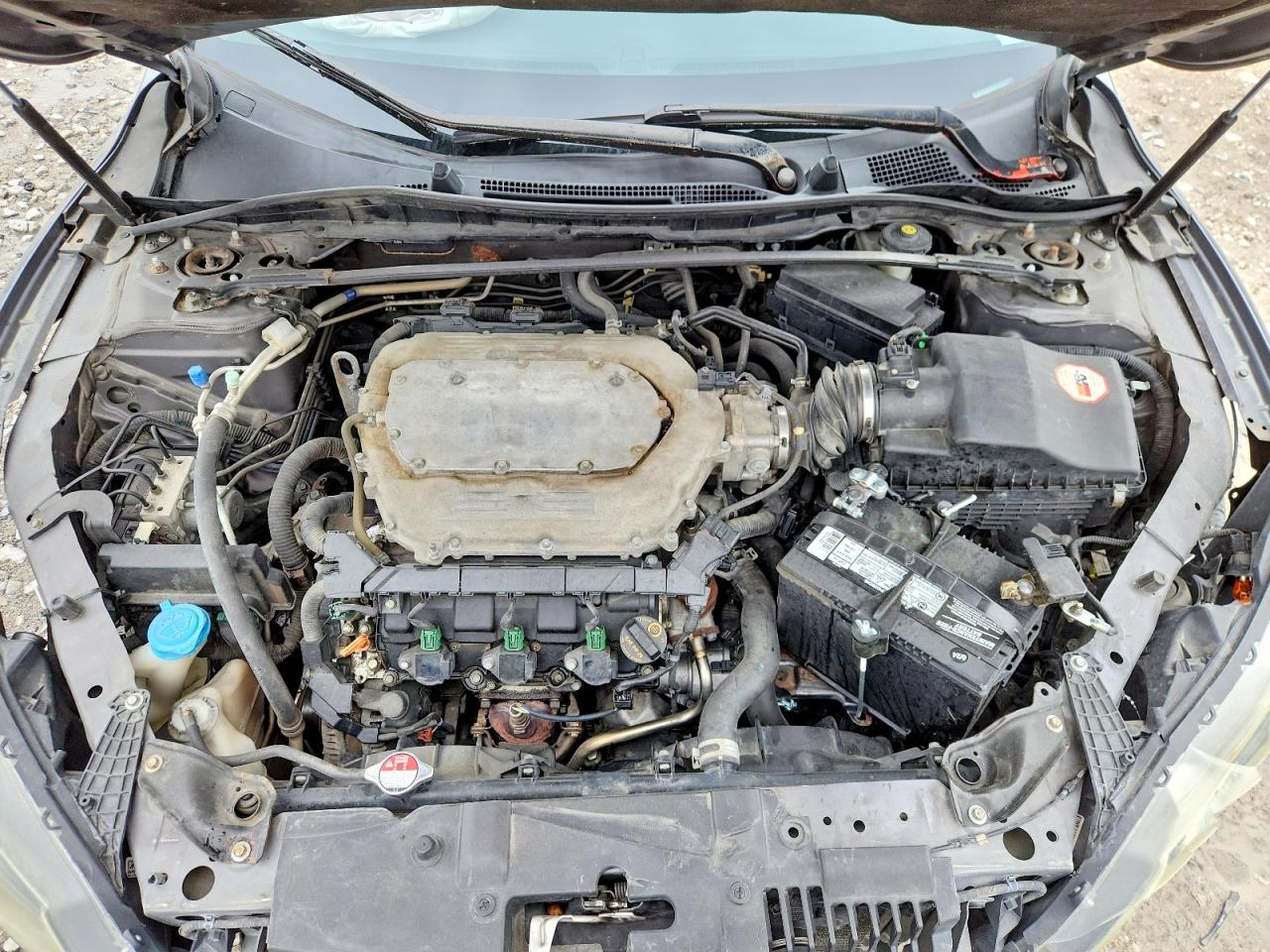2013 Honda Accord Exl Gray vin: 1HGCR3F84DA029603