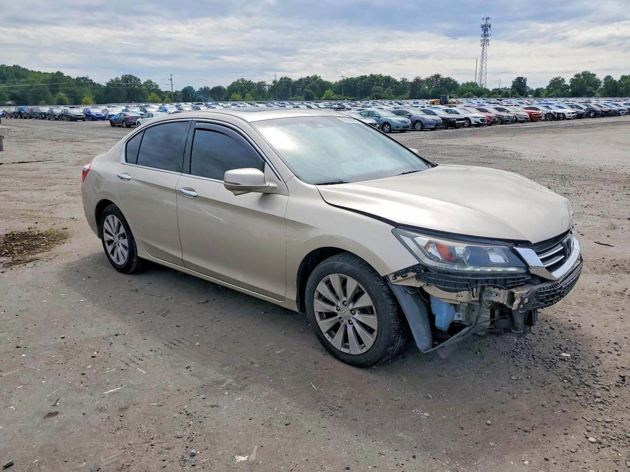 2013 Honda Accord Ex-v6 Beige vin: 1HGCR3F84DA030685