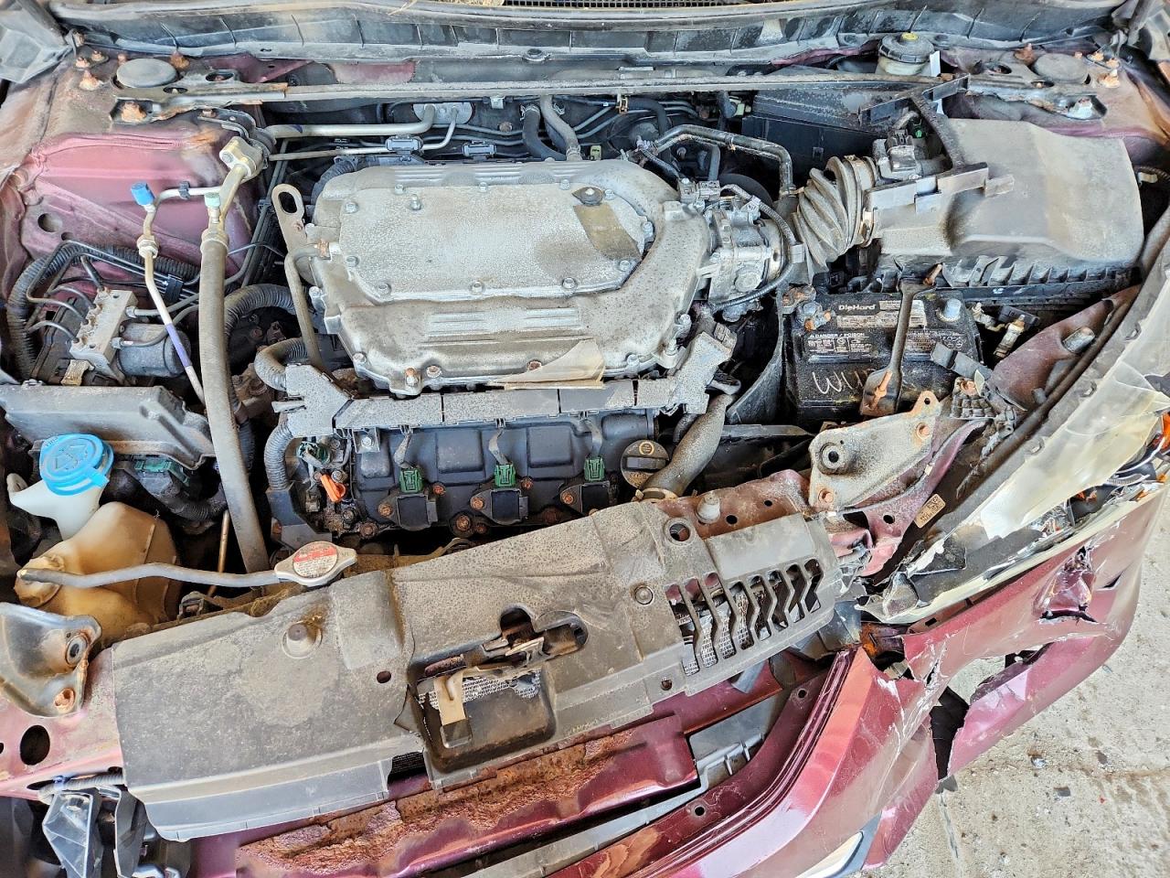 2013 Honda Accord Exl Burgundy vin: 1HGCR3F84DA040102