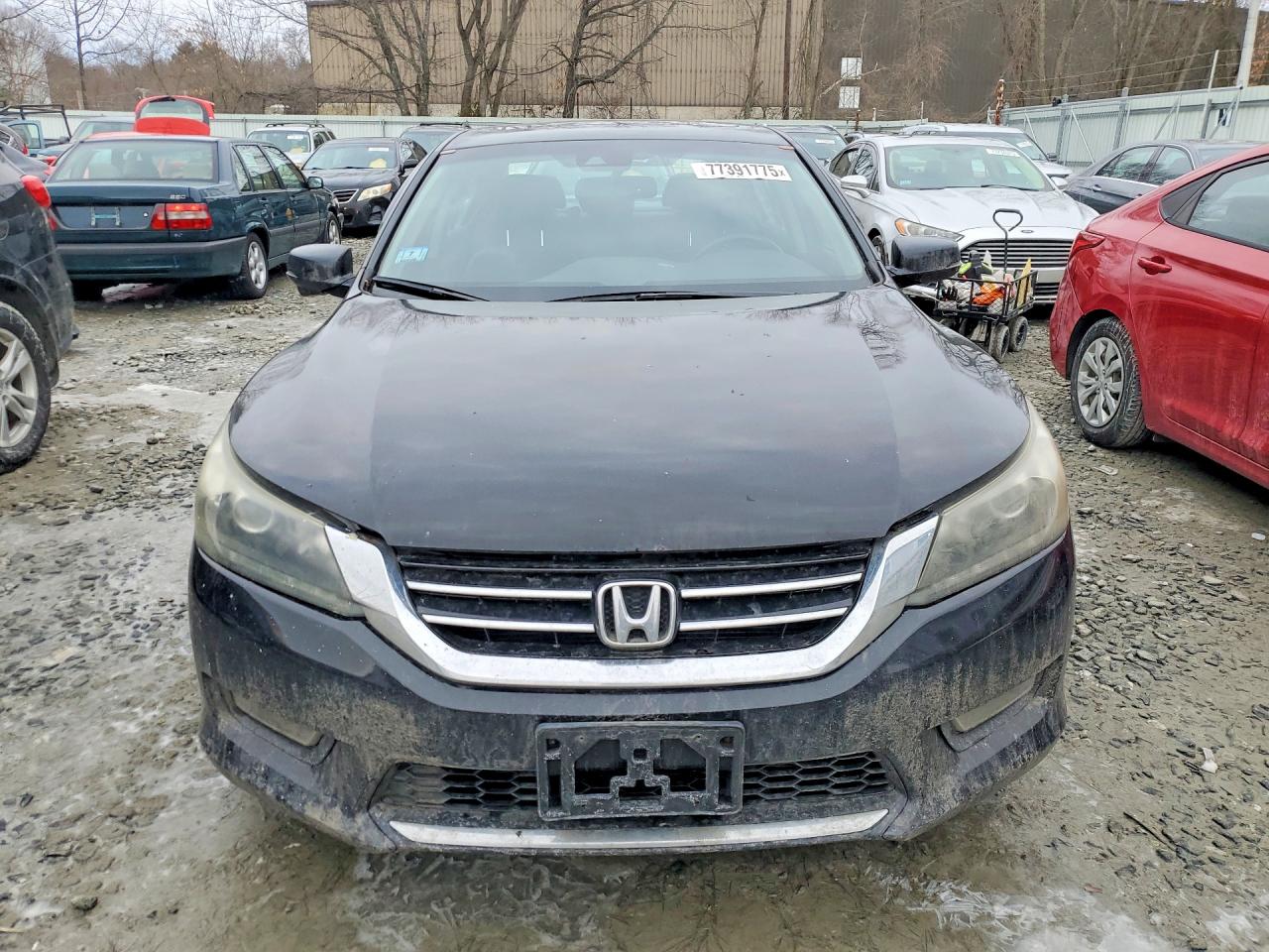 2013 Honda Accord Exl Черный vin: 1HGCR3F84DA044795