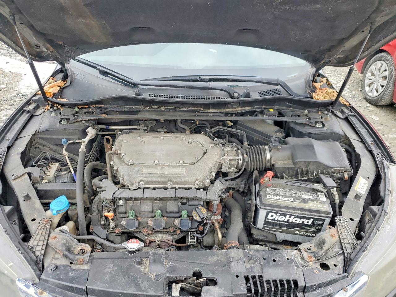2013 Honda Accord Exl Черный vin: 1HGCR3F84DA044795