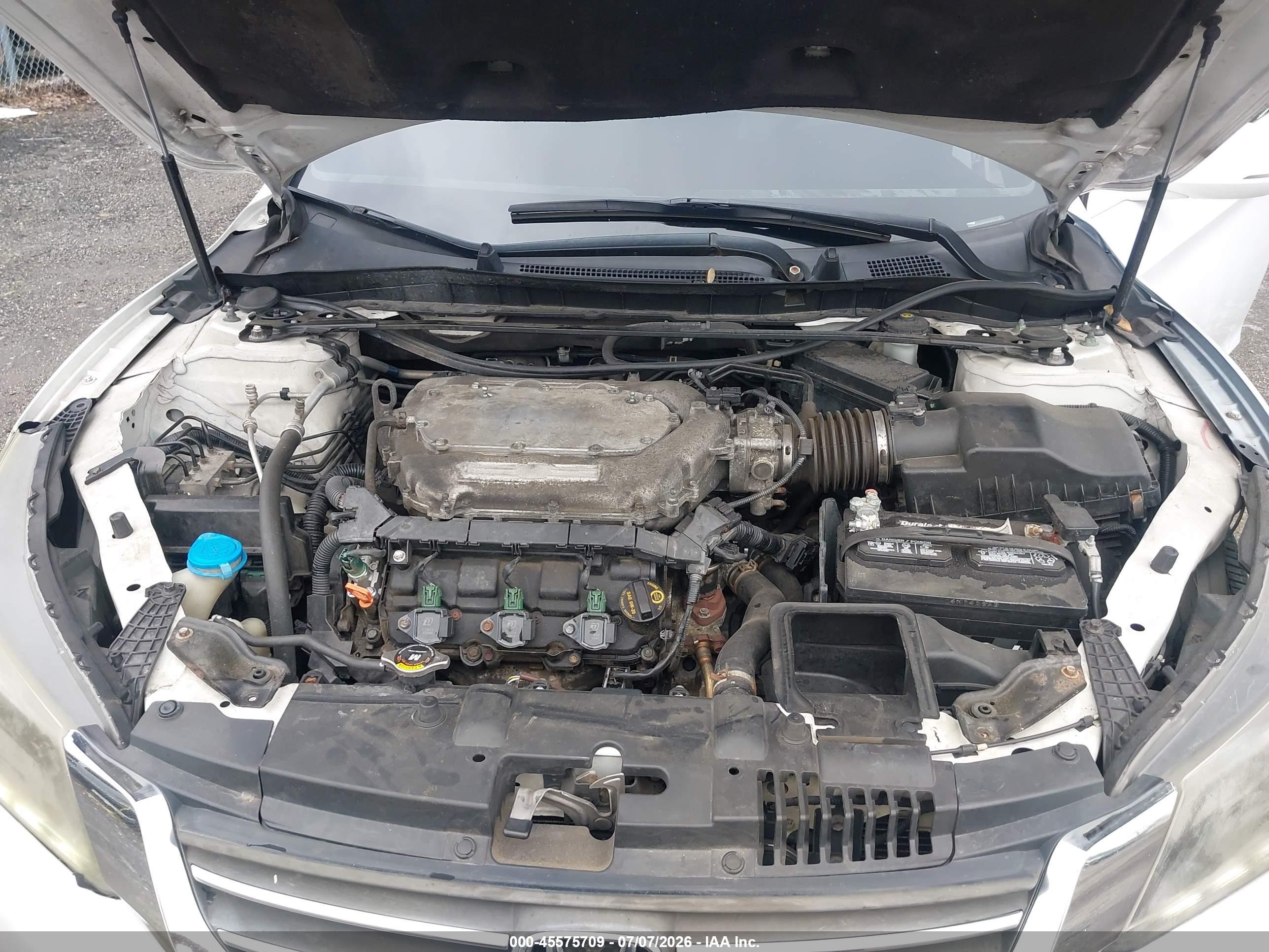 2014 Honda Accord Ex-l V-6 White vin: 1HGCR3F84EA034852