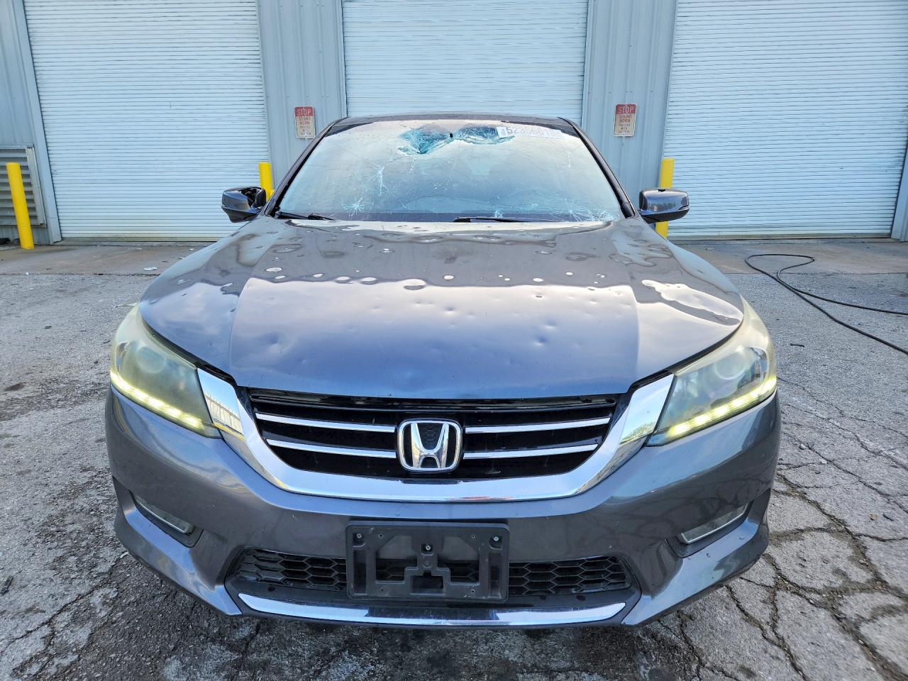 2013 Honda Accord Exl Gray vin: 1HGCR3F87DA046640