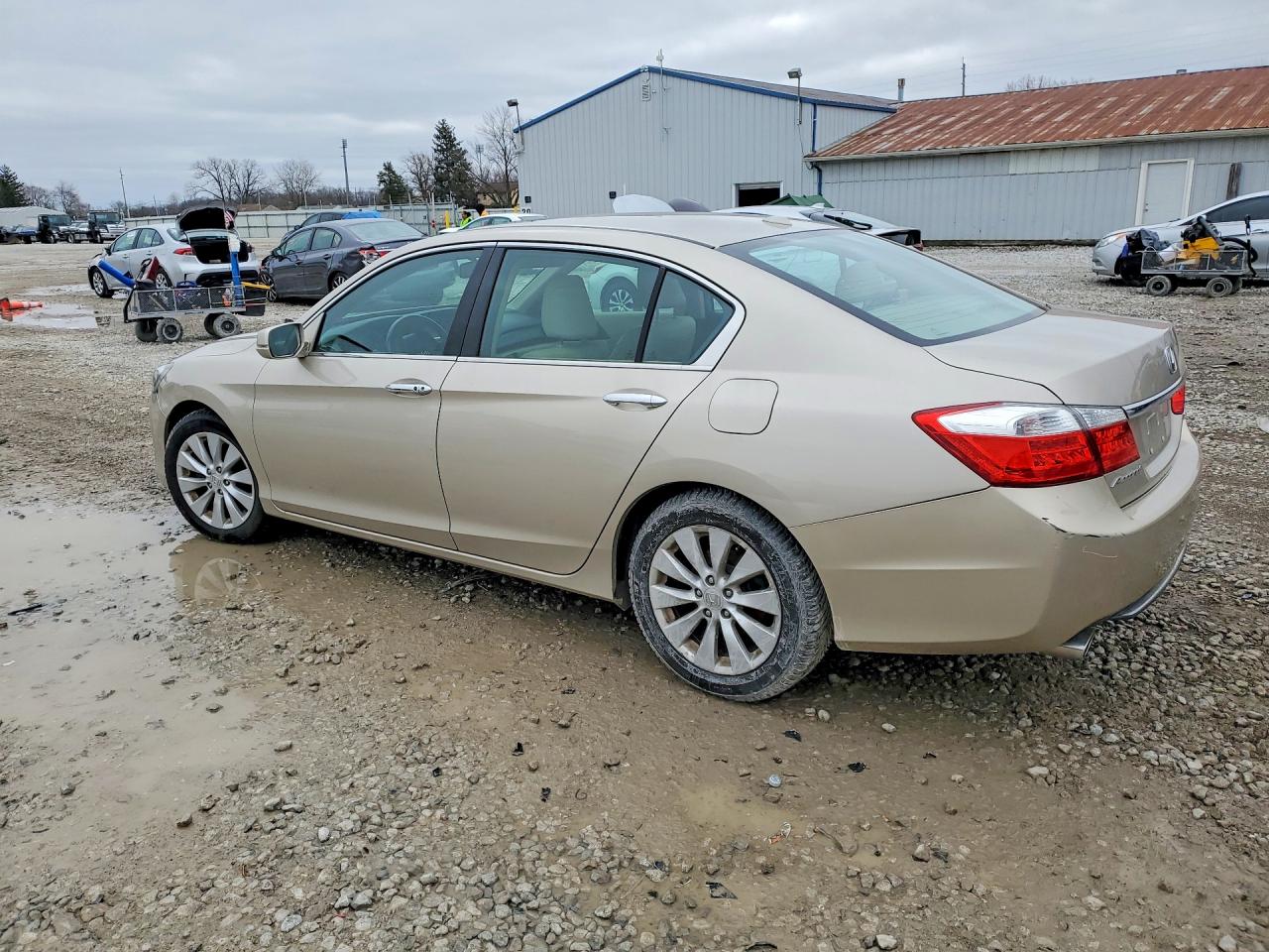 2015 Honda Accord Exl Gold vin: 1HGCR3F87FA000874