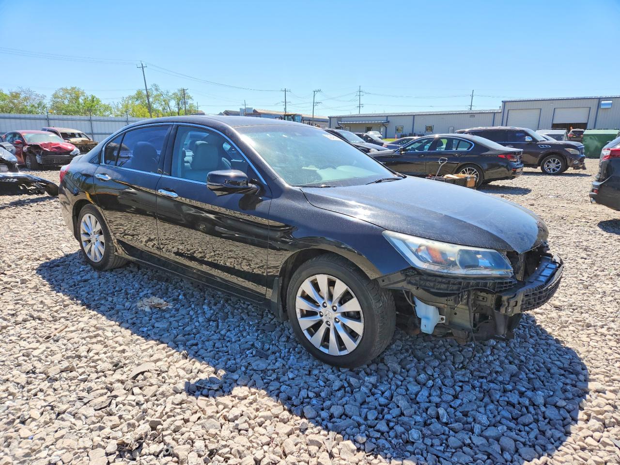 2013 Honda Accord Exl Black vin: 1HGCR3F88DA013646