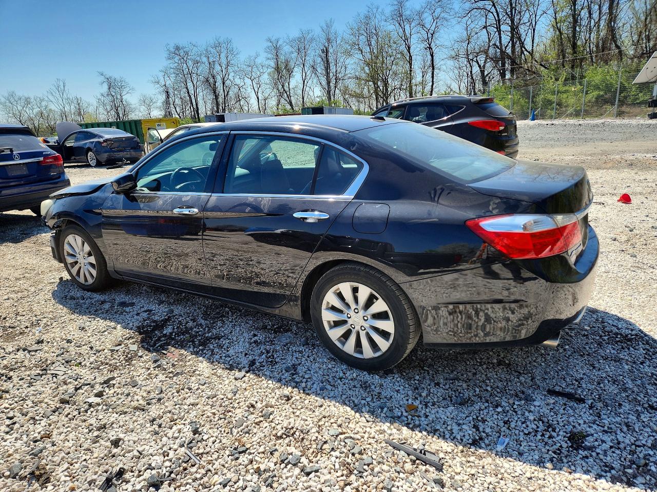 2013 Honda Accord Exl Black vin: 1HGCR3F88DA034383
