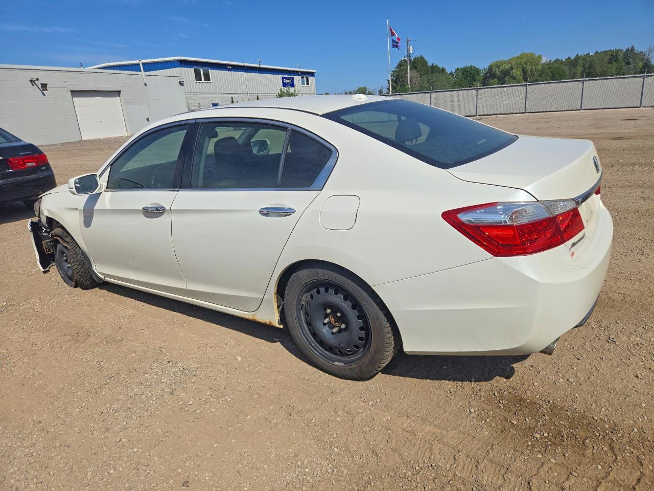 2013 Honda Accord Exl White vin: 1HGCR3F88DA800936