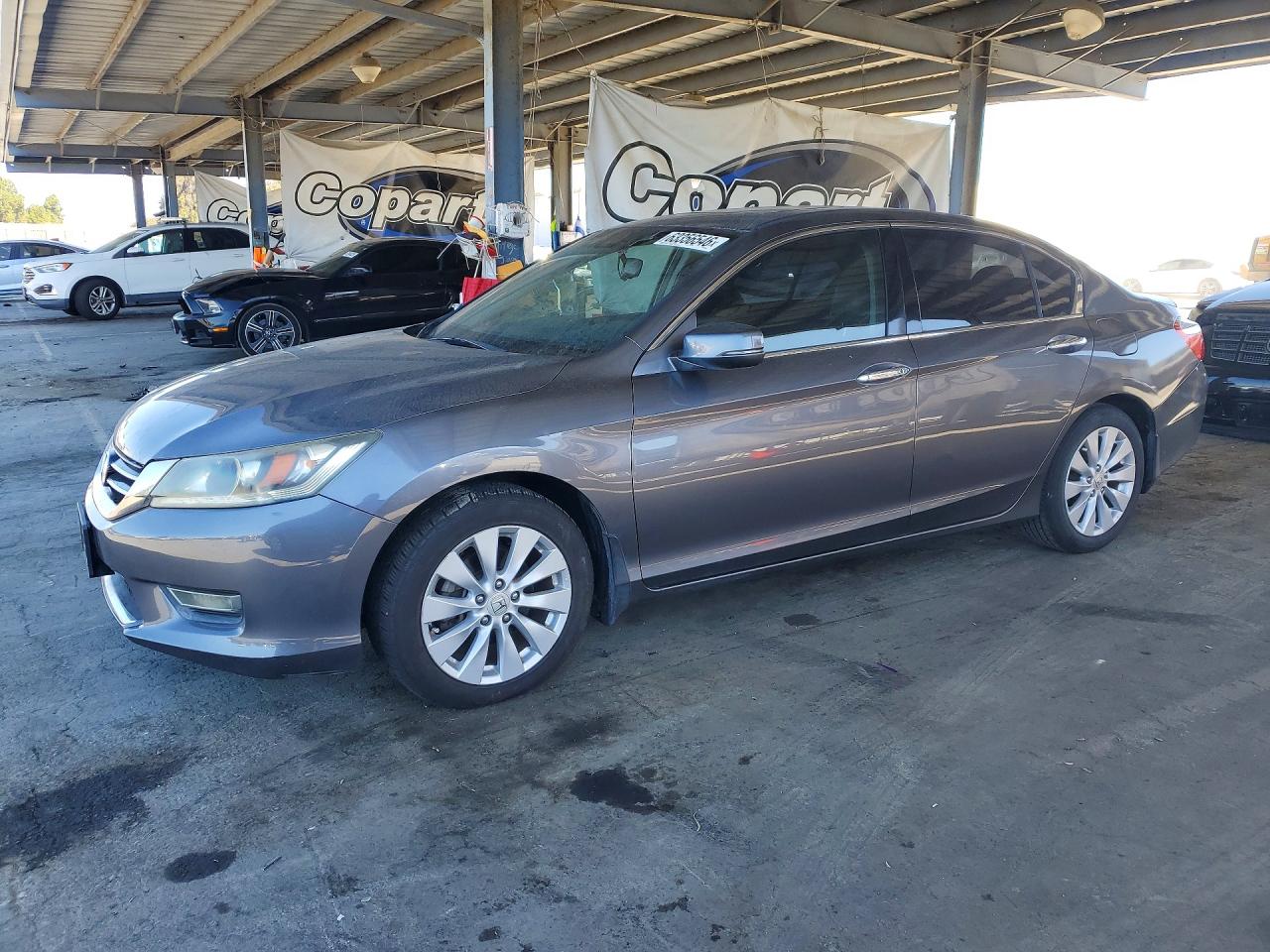 2013 Honda Accord Exl Gray vin: 1HGCR3F8XDA006889