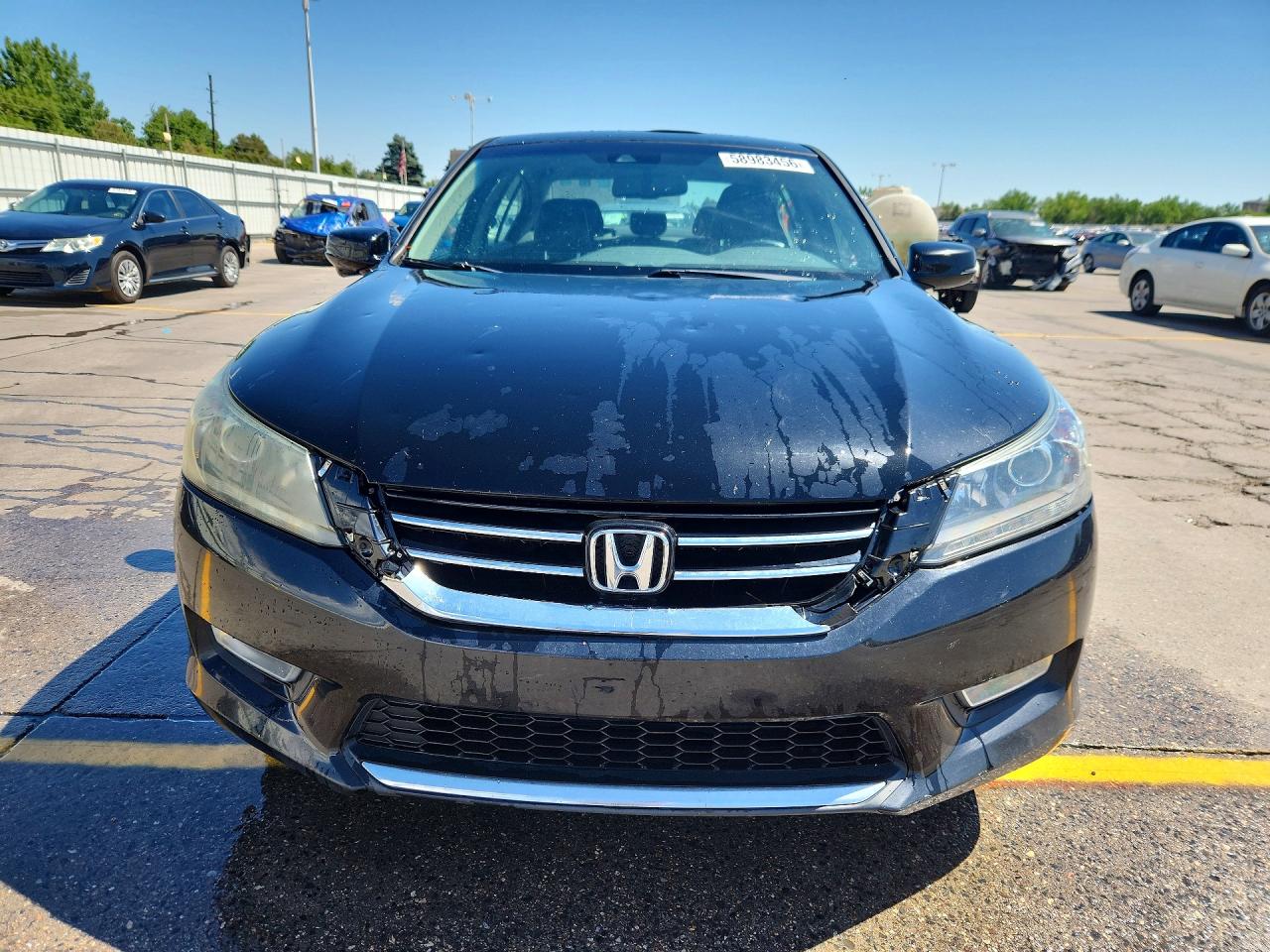 2013 Honda Accord Exl Black vin: 1HGCR3F8XDA034644