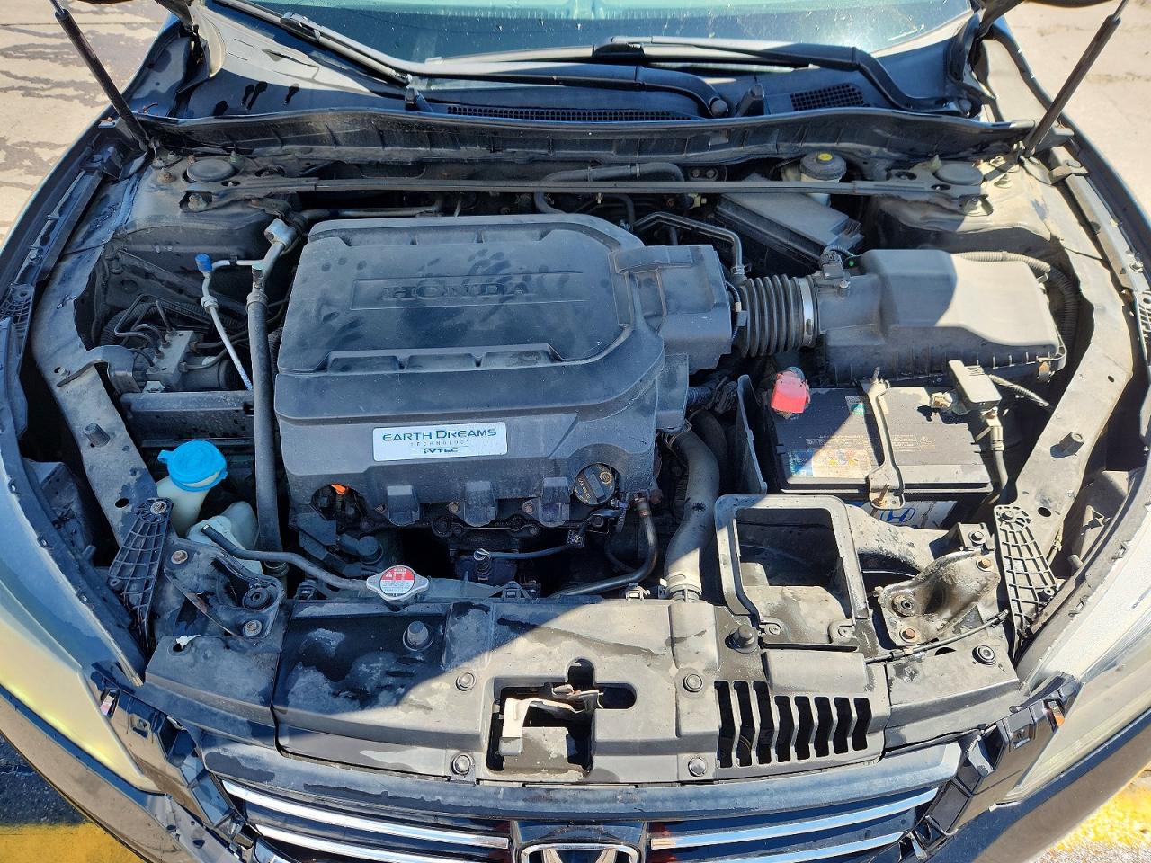 2013 Honda Accord Exl Black vin: 1HGCR3F8XDA034644