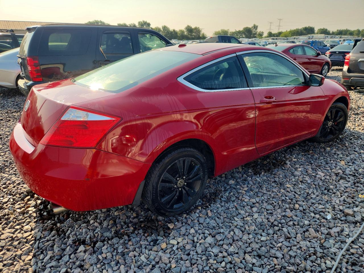 2009 Honda Accord Exl Red vin: 1HGCS11889A005716