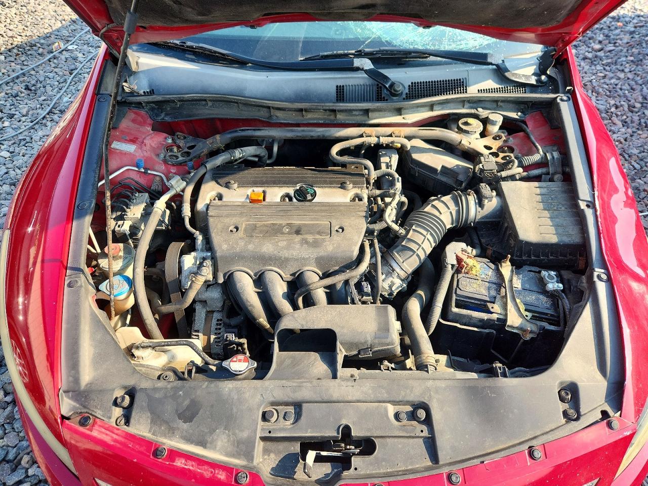 2009 Honda Accord Exl Red vin: 1HGCS11889A005716