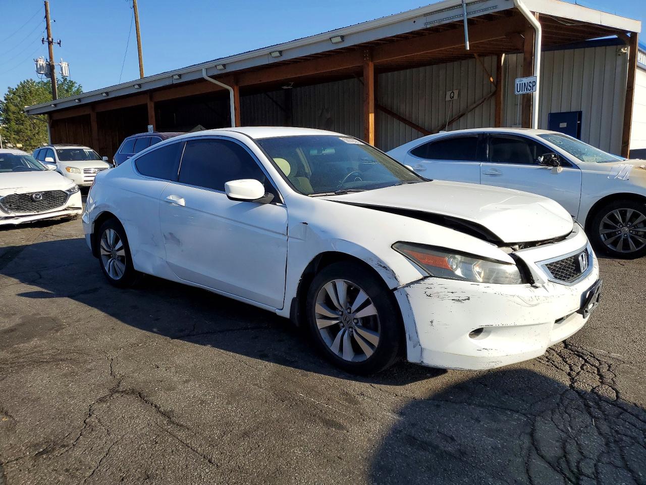 2009 Honda Accord Lx White vin: 1HGCS12319A018973
