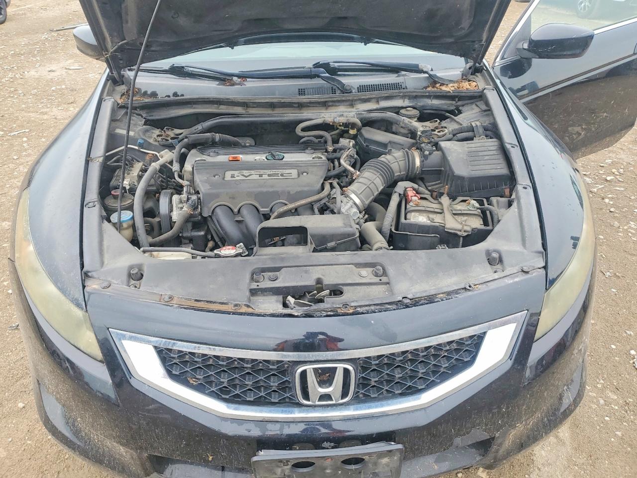 2009 Honda Accord Lx Black vin: 1HGCS12369A015034