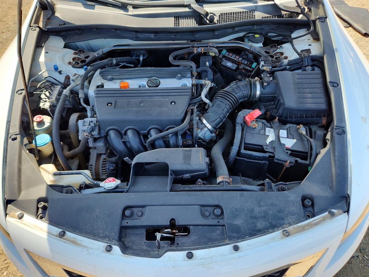 2009 Honda Accord Exl White vin: 1HGCS12819A012778