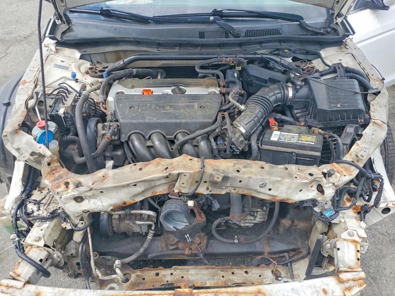 2009 Honda Accord Exl White vin: 1HGCS12819A024333