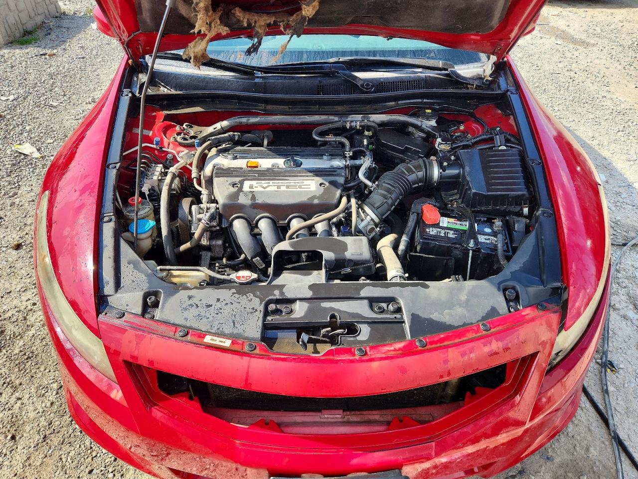 2009 Honda Accord Exl Red vin: 1HGCS12869A017605