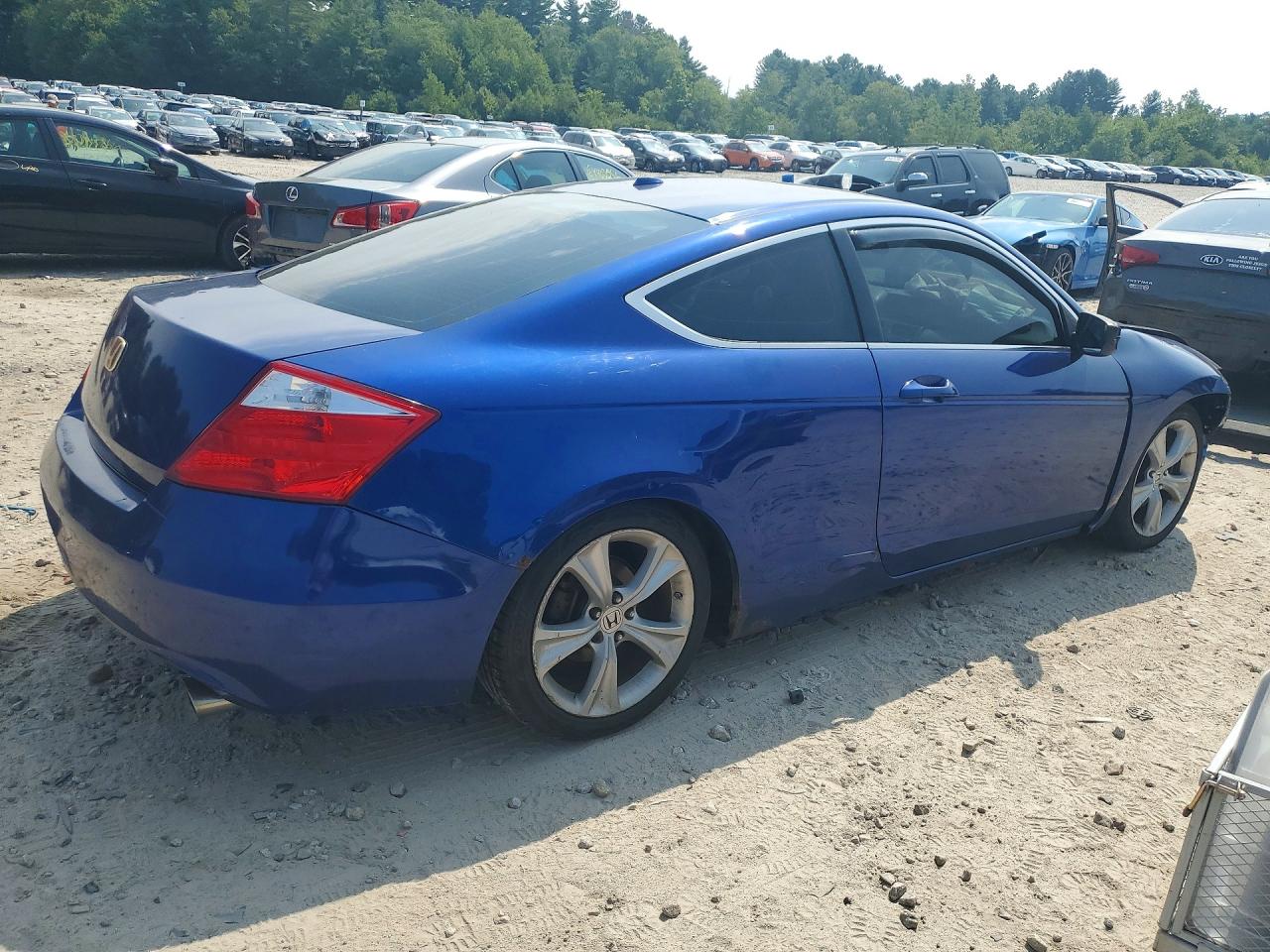 2009 Honda Accord Exl Blue vin: 1HGCS128X9A022449