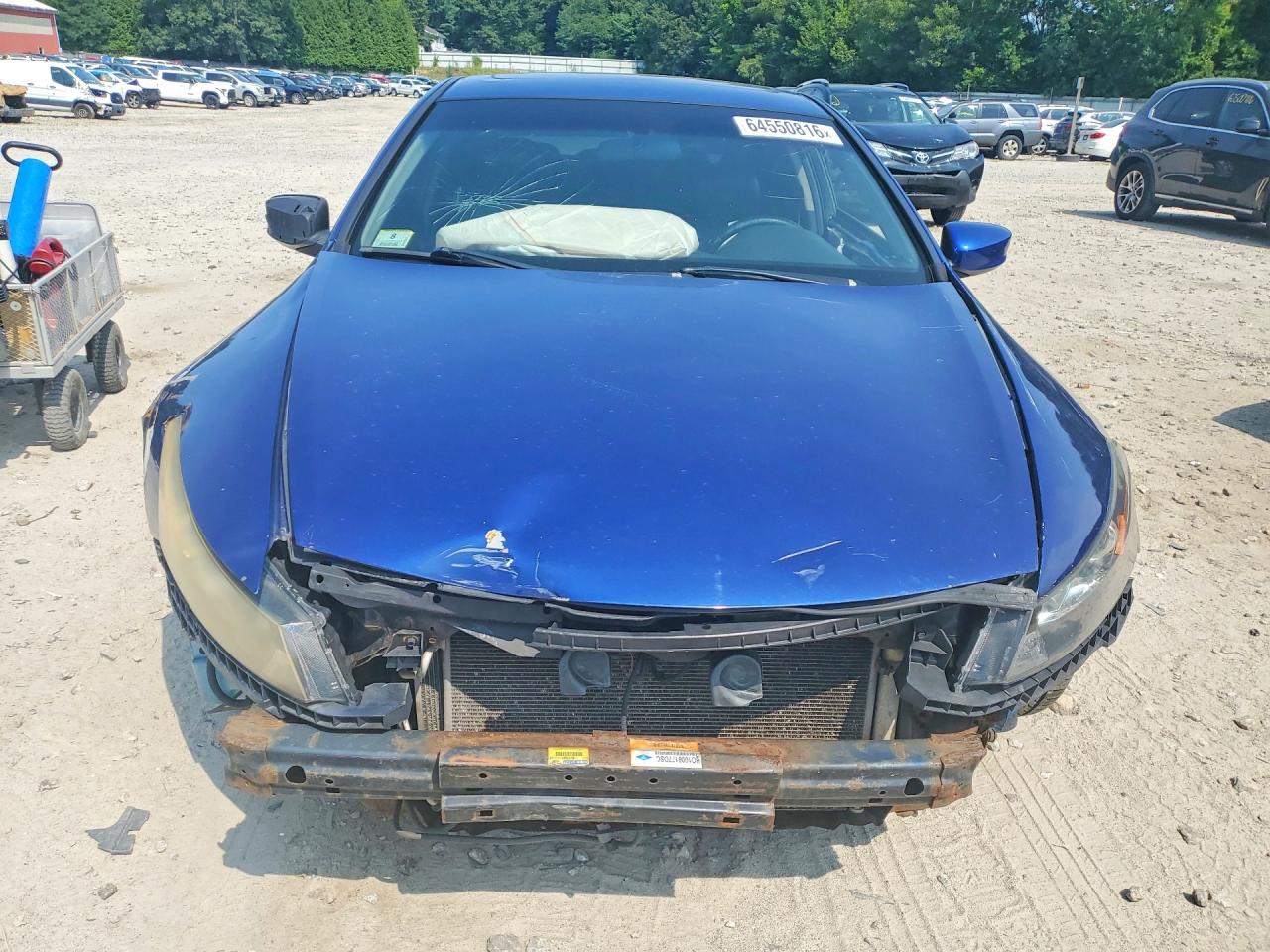 2009 Honda Accord Exl Blue vin: 1HGCS128X9A022449