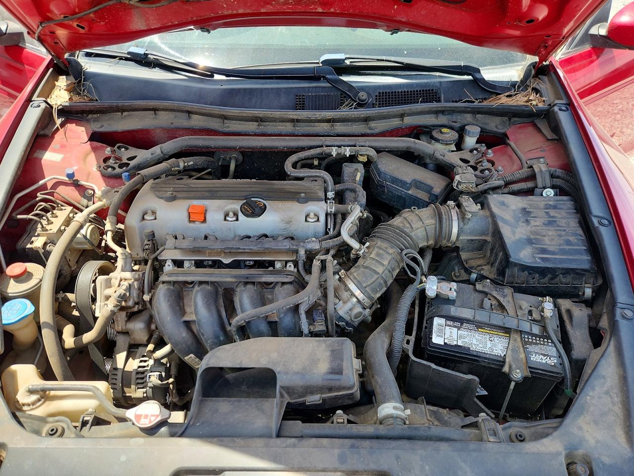 2012 Honda Accord Lx Red vin: 1HGCS1A35CA002185