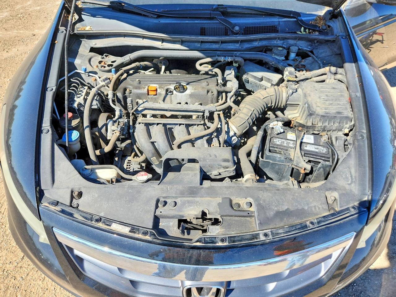 2011 Honda Accord Ex Black vin: 1HGCS1A74BA015723