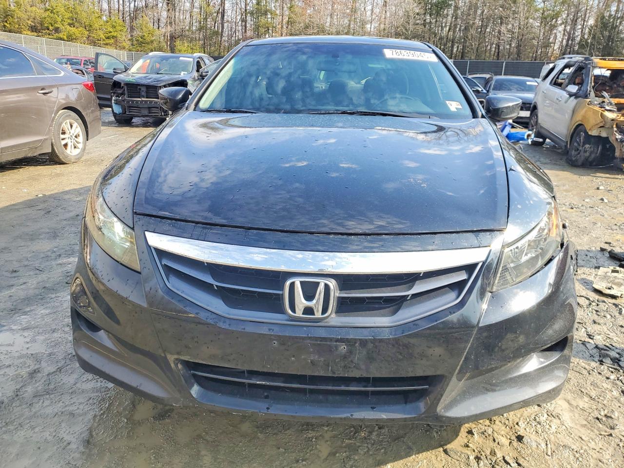 2011 Honda Accord Ex Black vin: 1HGCS1B70BA015488