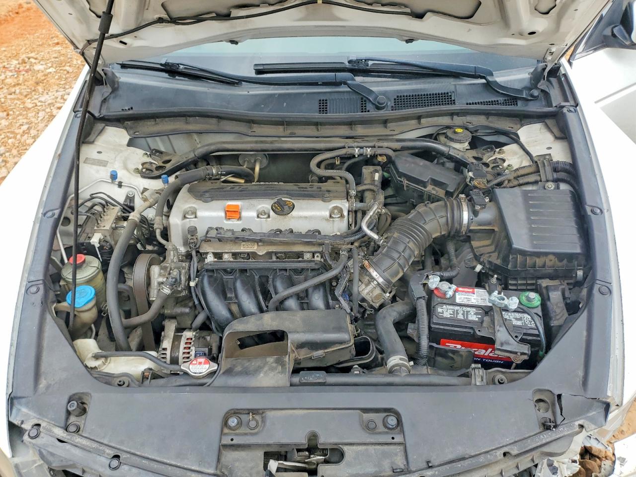 2012 Honda Accord Ex White vin: 1HGCS1B7XCA013863