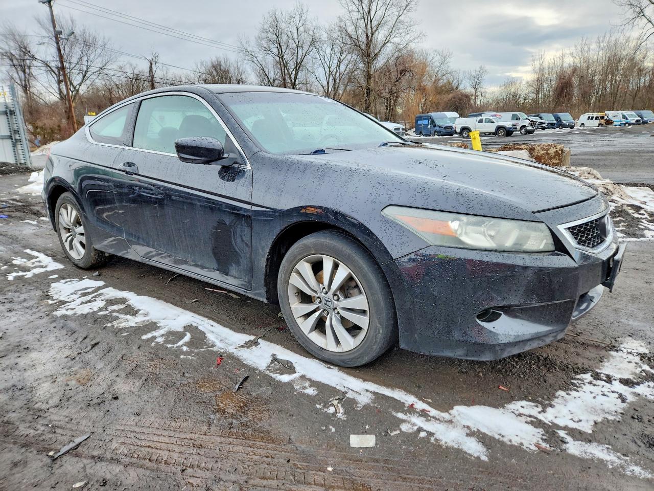 2010 Honda Accord Exl Black vin: 1HGCS1B81AA014597