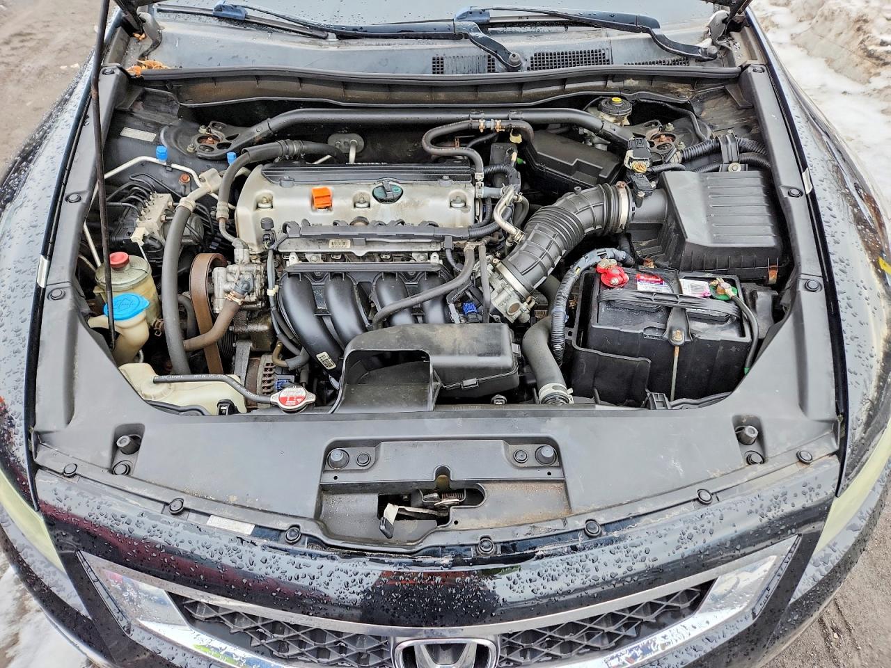 2010 Honda Accord Exl Black vin: 1HGCS1B81AA014597