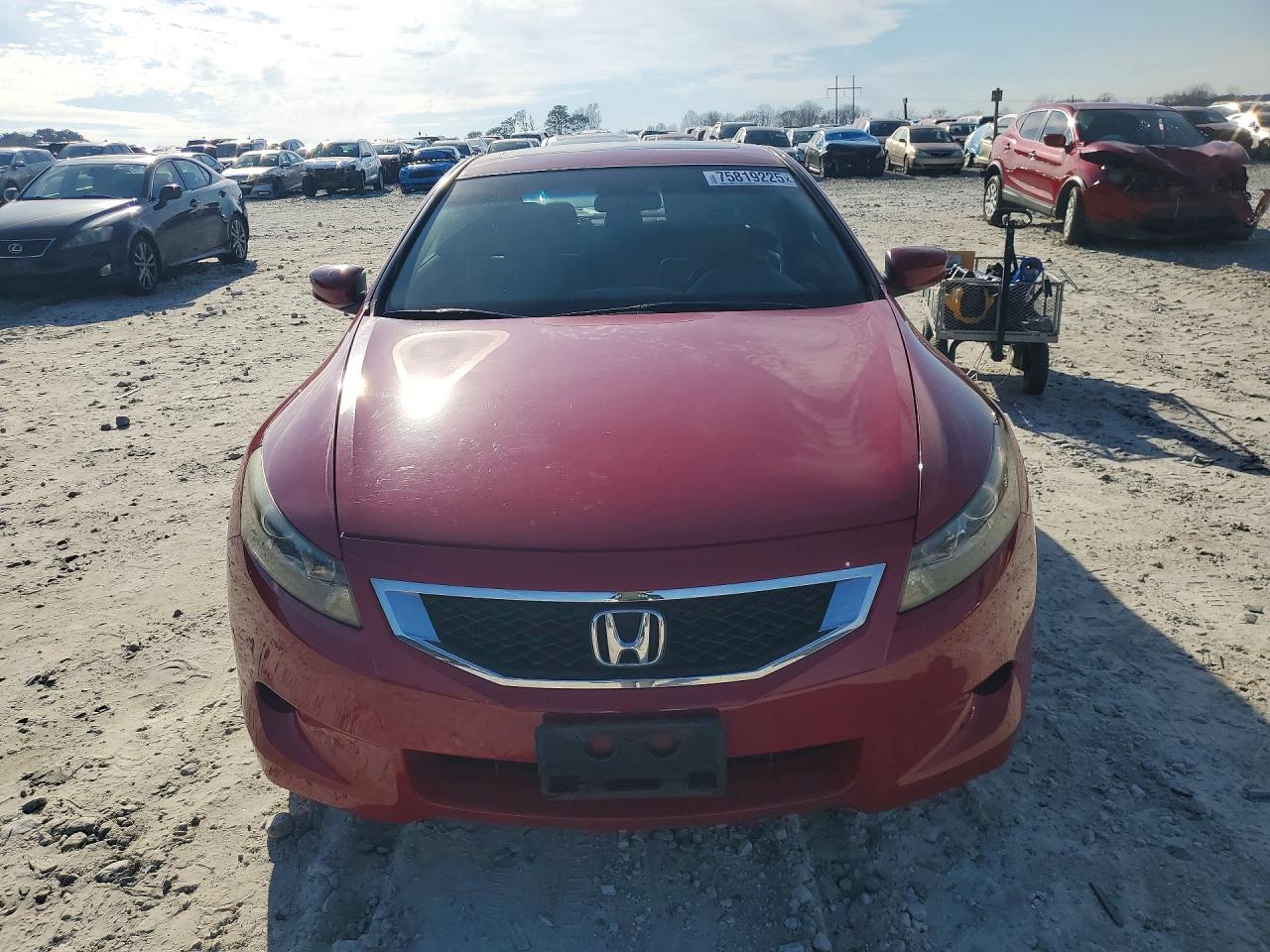 2010 Honda Accord Exl Red vin: 1HGCS1B85AA019155