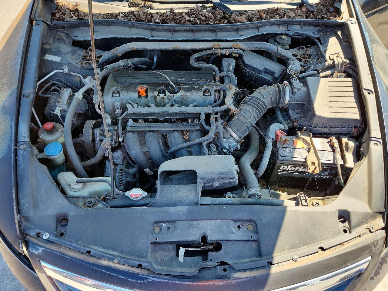 2011 Honda Accord Exl Black vin: 1HGCS1B85BA008786