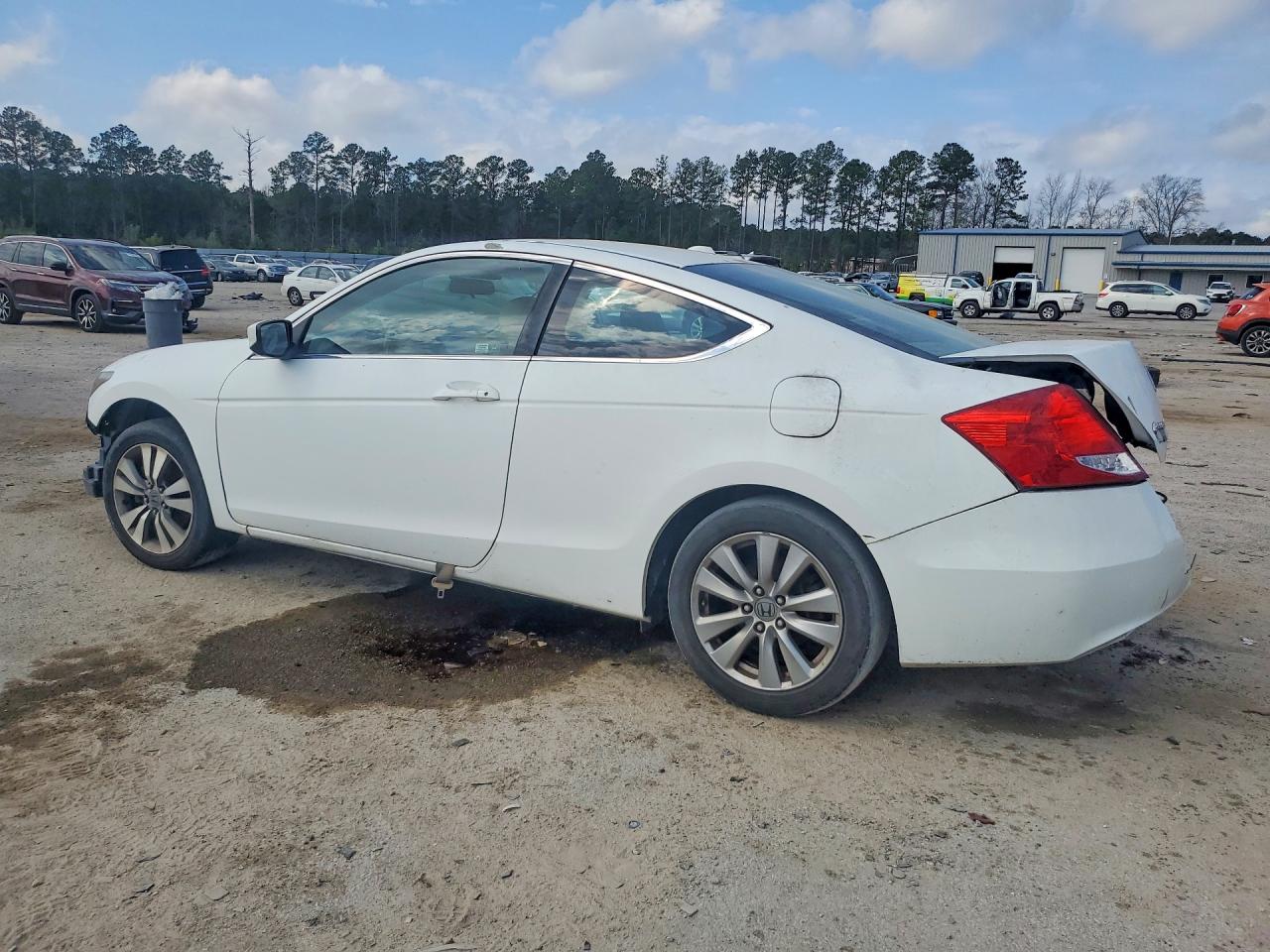 2011 Honda Accord Exl White vin: 1HGCS1B85BA011817