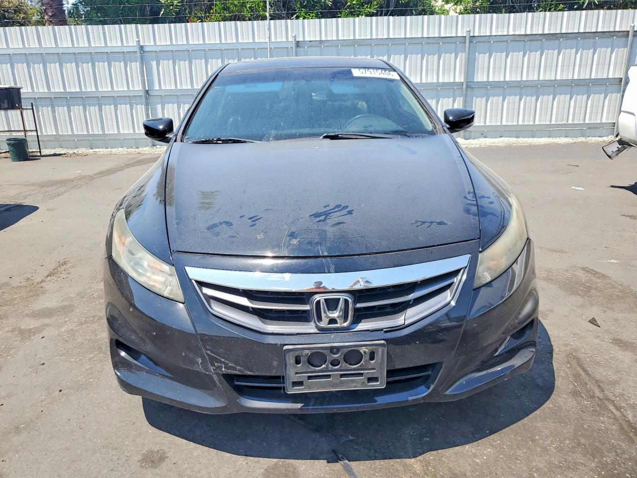 2011 Honda Accord Exl Black vin: 1HGCS1B85BA013129