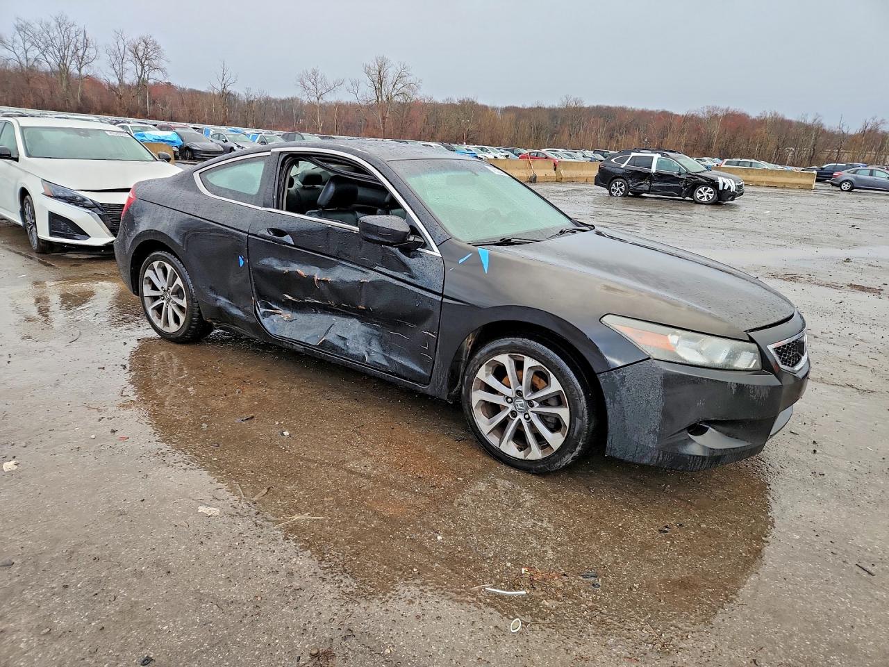 2010 Honda Accord Exl Black vin: 1HGCS1B86AA019519