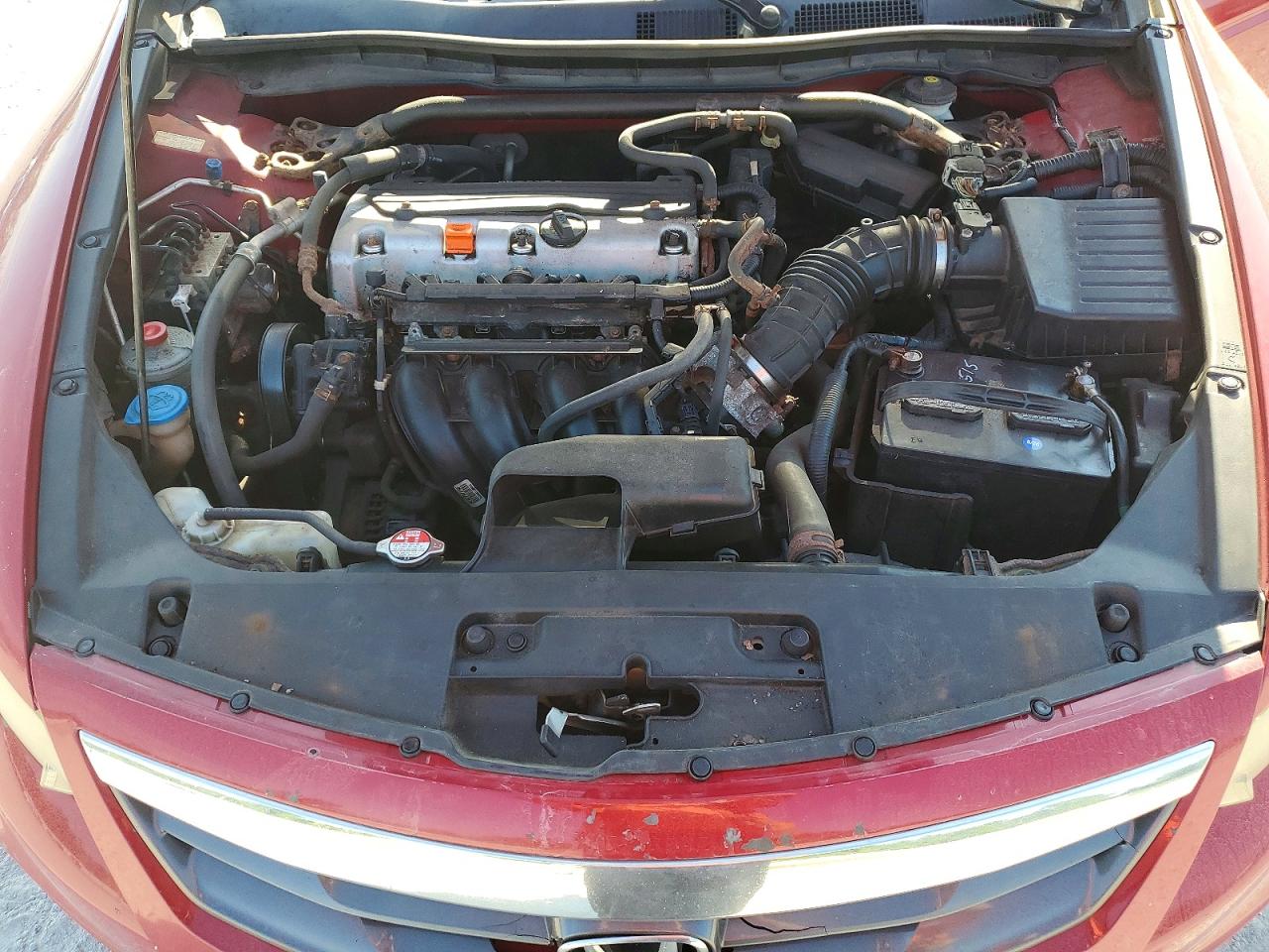 2011 Honda Accord Exl Red vin: 1HGCS1B86BA005962