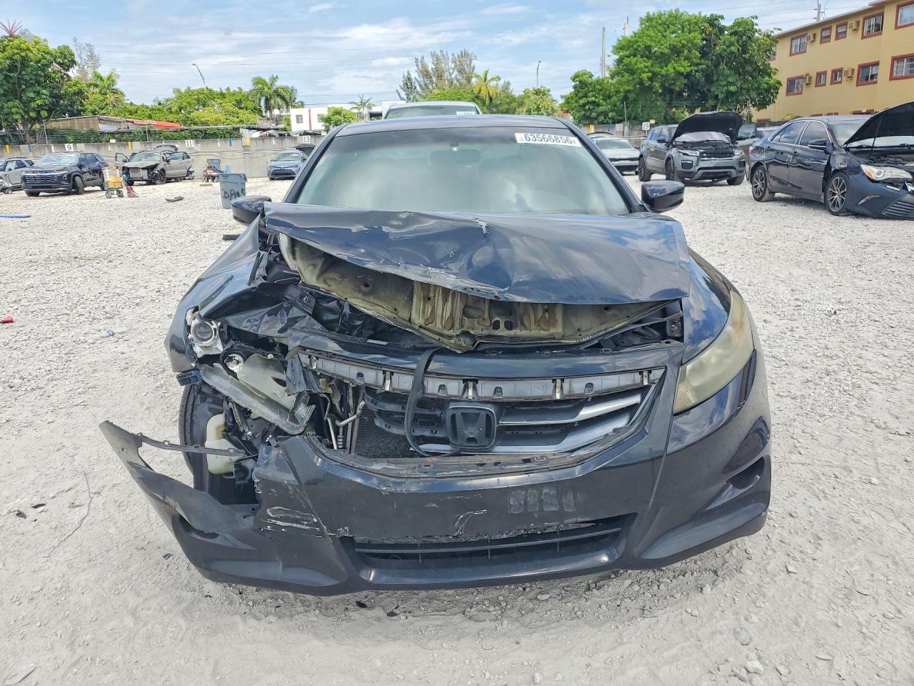 2011 Honda Accord Exl Black vin: 1HGCS1B87BA013360