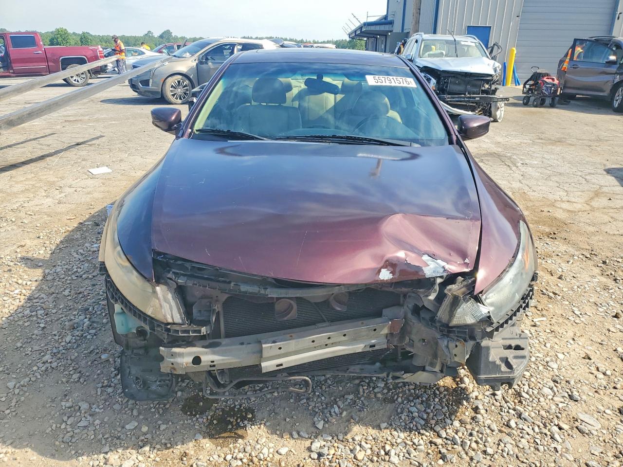 2012 Honda Accord Exl Burgundy vin: 1HGCS1B87CA006488