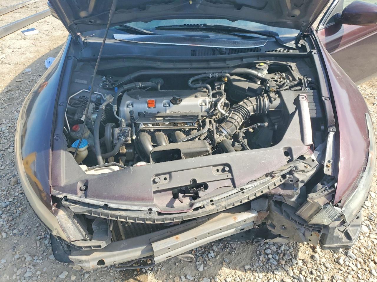 2012 Honda Accord Exl Burgundy vin: 1HGCS1B87CA006488