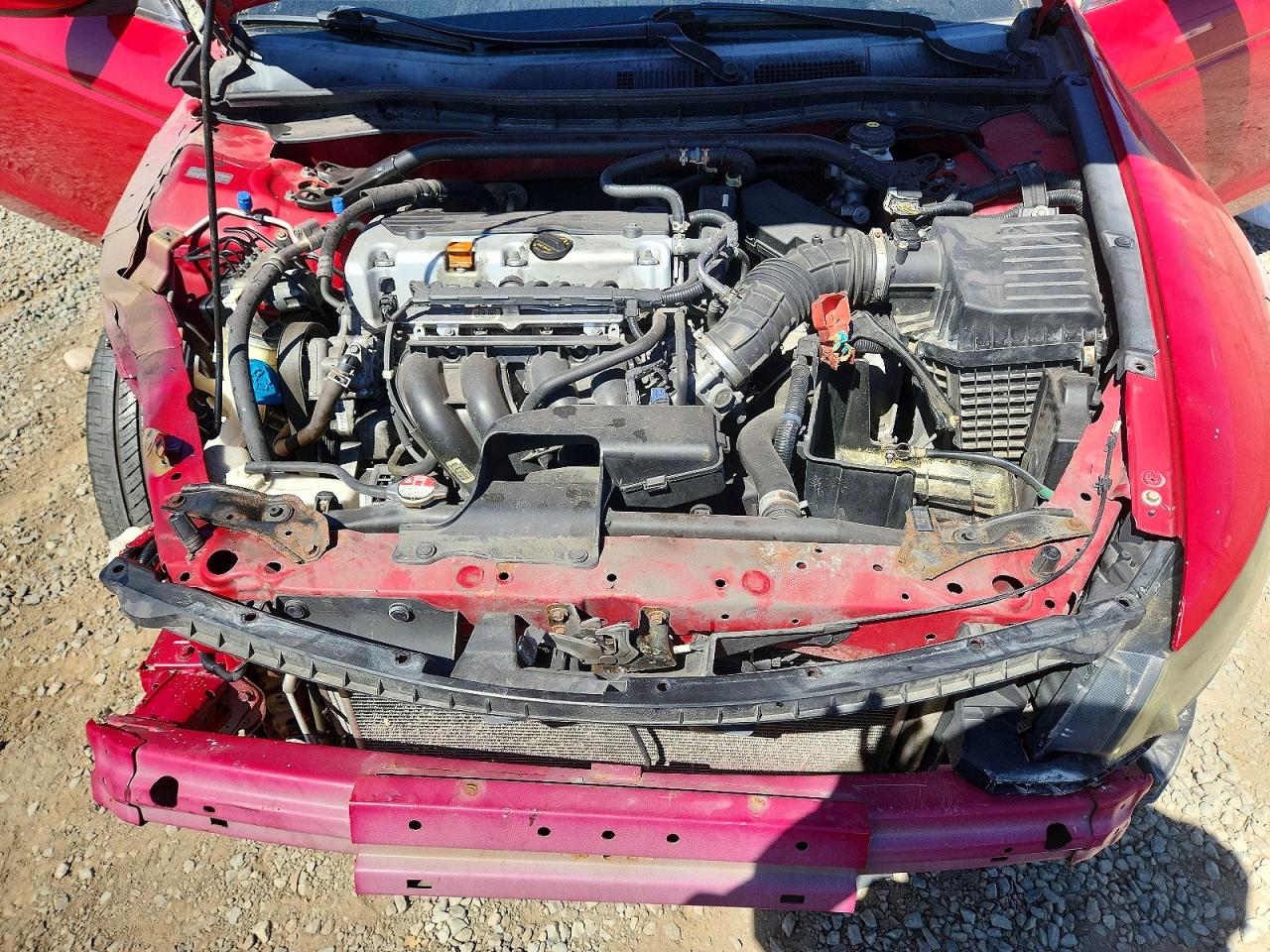 2012 Honda Accord Exl Red vin: 1HGCS1B87CA010539