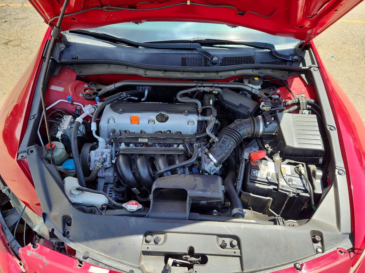 2012 Honda Accord Exl Red vin: 1HGCS1B87CA016230