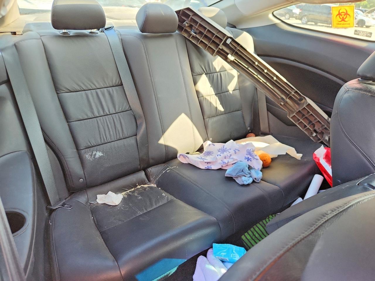 2011 Honda Accord Exl Gray vin: 1HGCS1B88BA004036