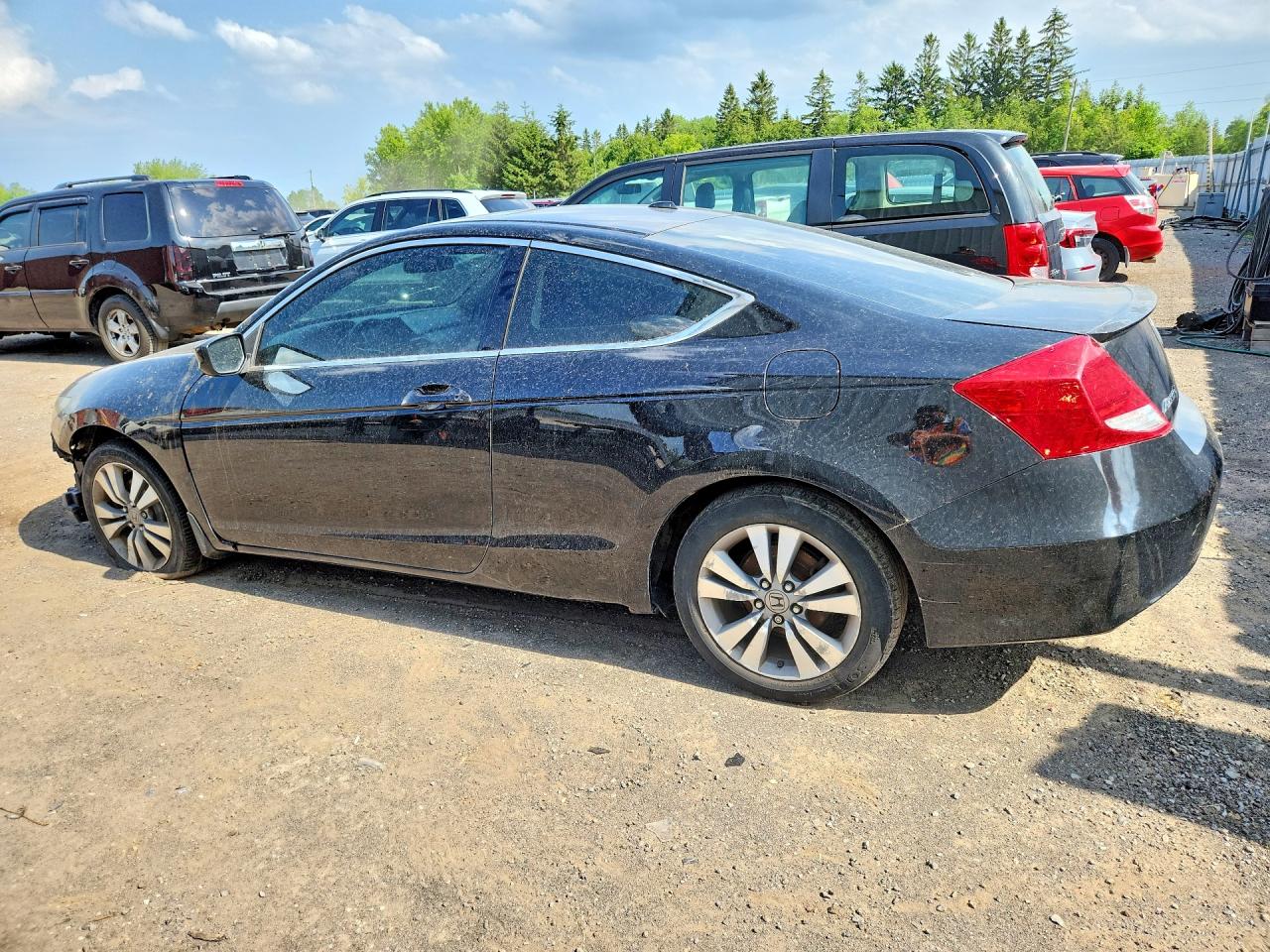 2011 Honda Accord Exl Black vin: 1HGCS1B88BA800401