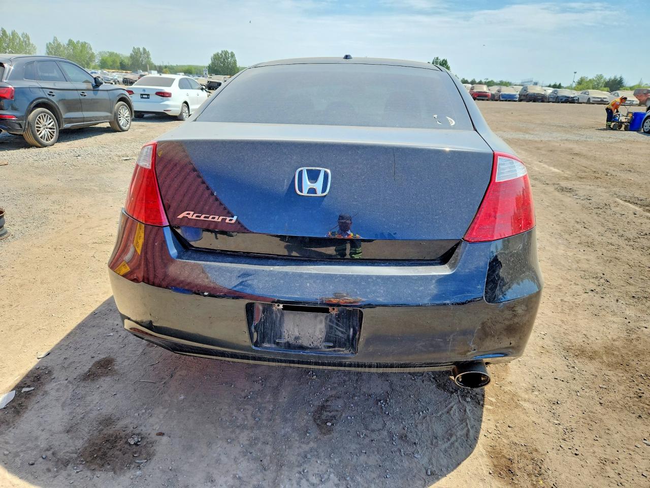 2010 Honda Accord Exl Black vin: 1HGCS1B89AA800888