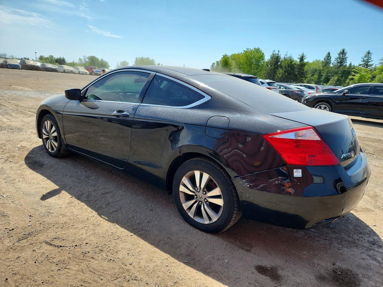 2010 Honda Accord Exl Black vin: 1HGCS1B89AA800888