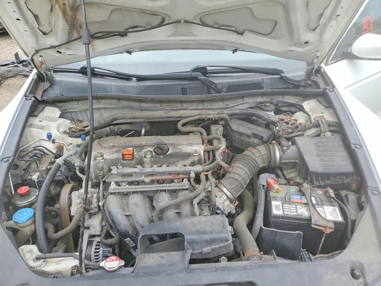 2012 Honda Accord Exl Белый vin: 1HGCS1B89CA009697