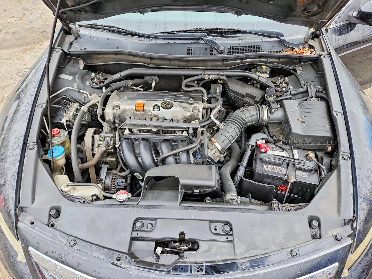 2012 Honda Accord Exl Black vin: 1HGCS1B8XCA006291
